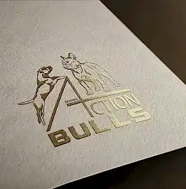 Action Bulls - Экшн Буллс