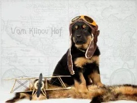 Vom Klinov Hof - Вом Клинов Хов