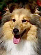 S Holmov - С Холмов