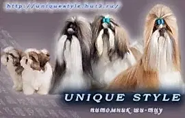 Unique Style - Юник Стайл