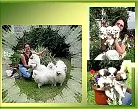 Юниверс Фантазм - Univers Fantazm