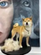 Стрижка собак и кошек в Алматы