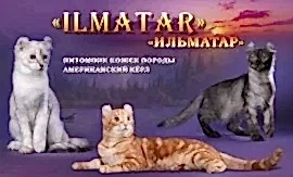 Ilmatar