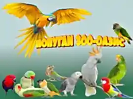 Питомник попугав Зоо-Оазис