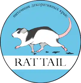 ПДК "Rat Tail" 