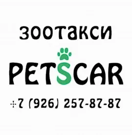 Зоотакси в Алматы. Перевозка животных по России и СНГ