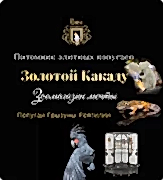 Питомник Золотой какаду