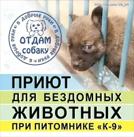 Приют для бездомных животных при питомнике К-9