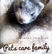 Питомник хорьков Pets care family