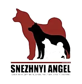 Питомник "Снежный Ангел" (Хаски, Акита, Сиба)