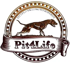 Питомник питбулей "PFL|ПитФоЛайф"