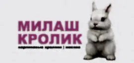 Милаш кролик
