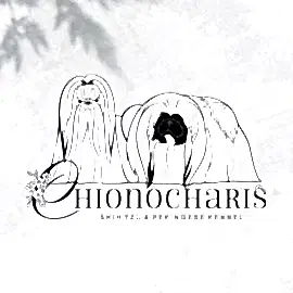 Питомник собак породы ши тцу ChionoCharis ( Хионохарис) 